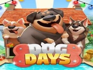 Dog Days icon